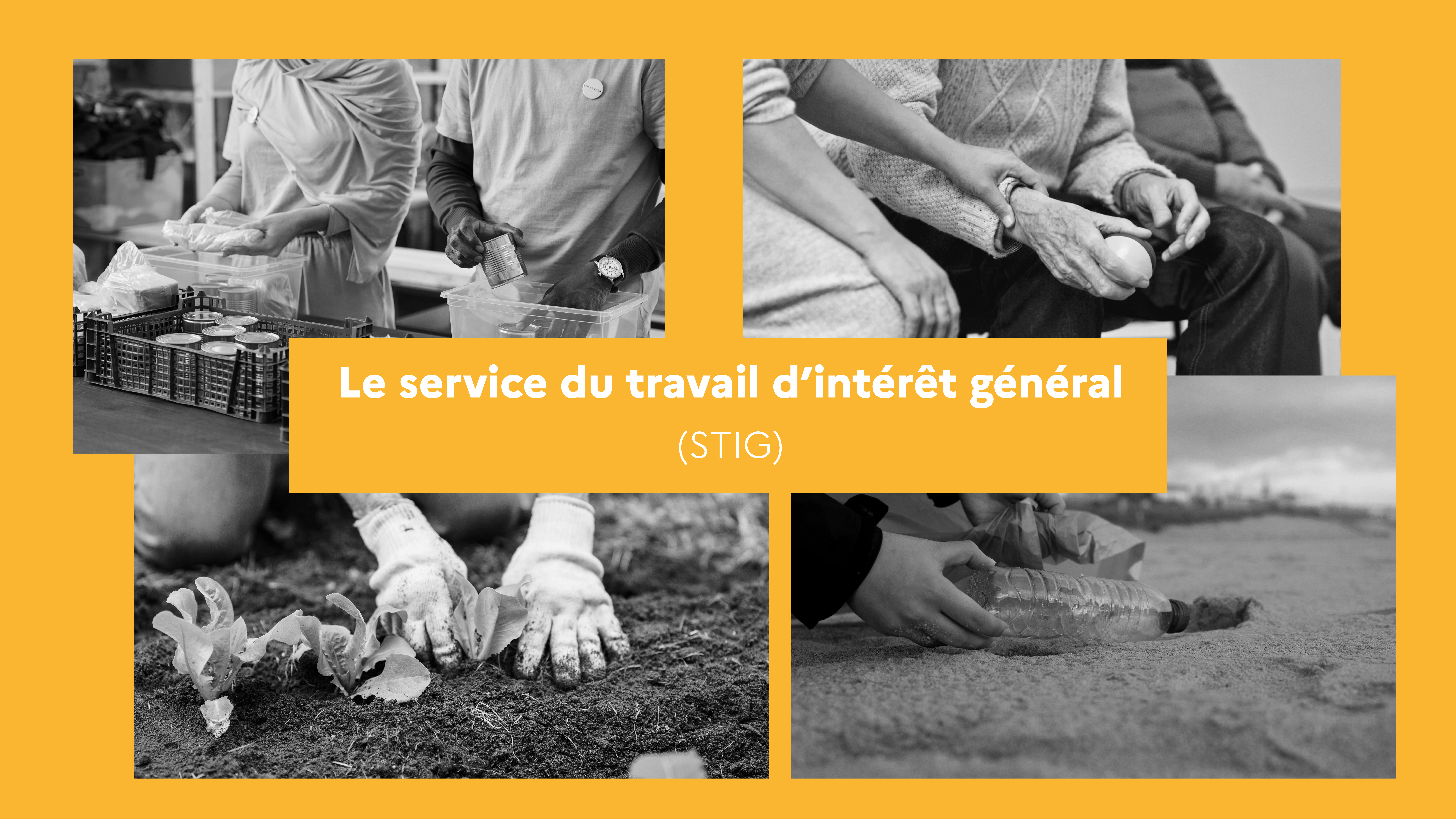 Visuel avec écrit "Le service du travail d'intérêt général (STIG" sur fond jaune avec 4 photos en noir et blanc illustrant le travail de ce service